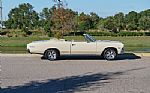 1966 Chevelle SS Thumbnail 6