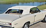 1966 Chevelle SS Thumbnail 57