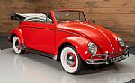 1962 Beetle Thumbnail 4