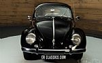 1952 Beetle Thumbnail 6