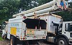 2001 DT4700 Bucket Truck with a Forestry Package Thumbnail 1