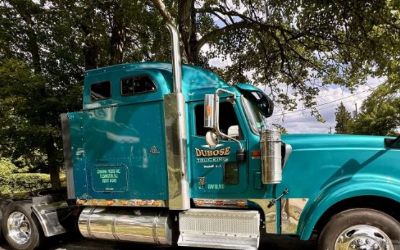 Photo of a 2001 International 9900 Sleeper Trucks for sale