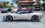 1998 Corvette Thumbnail 12
