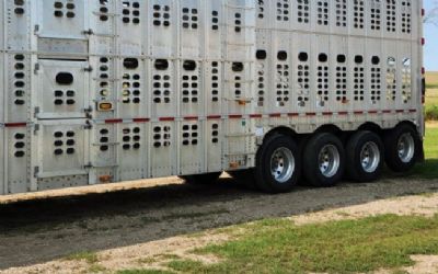 Photo of a 2019 Wilson Psdcl-402 for sale