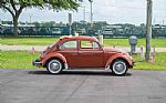 1974 Beetle Thumbnail 6