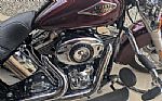 2014 Soft Tail Thumbnail 4
