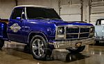 1978 D150 Thumbnail 13