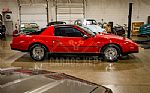 1982 Firebird Trans Am Thumbnail 10