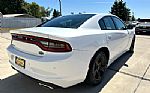 2021 Charger Thumbnail 6