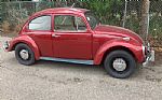 1967 Beetle Thumbnail 1