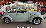1966 Beetle Thumbnail 1
