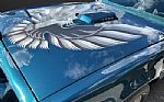 1979 Firebird Trans Am Thumbnail 22