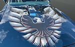 1979 Firebird Trans Am Thumbnail 23
