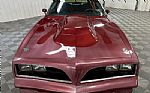 1980 Trans Am Thumbnail 4