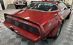 1980 Trans Am Thumbnail 8