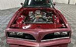 1980 Trans Am Thumbnail 36