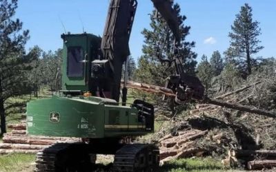 Photo of a 2009 John Deere 2454D for sale