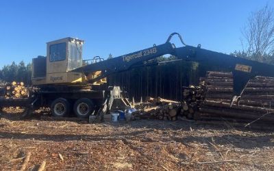 Photo of a 2023 Tigercat 234B LOG Loaders for sale