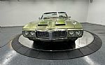 1969 Firebird Thumbnail 5