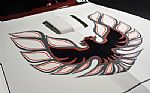 1977 Firebird Thumbnail 20