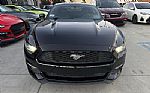 2016 Mustang EcoBoost Premium Thumbnail 2