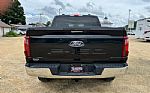2024 F-150 Thumbnail 7