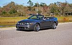 2003 Mustang SVT Cobra Thumbnail 1