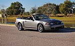 2003 Mustang SVT Cobra Thumbnail 7