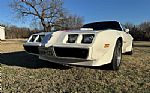 1979 Firebird Trans Am Thumbnail 3