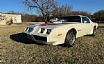 1979 Firebird Trans Am Thumbnail 5