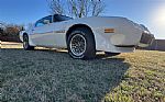 1979 Firebird Trans Am Thumbnail 20