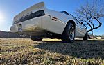 1979 Firebird Trans Am Thumbnail 28