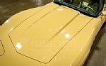 1979 Corvette Thumbnail 25