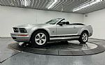 2009 Mustang Thumbnail 2
