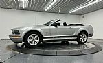 2009 Mustang Thumbnail 3