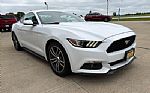 2017 Mustang Thumbnail 4