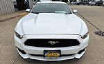 2017 Mustang Thumbnail 3
