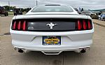 2017 Mustang Thumbnail 8
