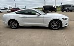2017 Mustang Thumbnail 5