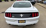2017 Mustang Thumbnail 9