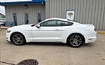 2017 Mustang Thumbnail 11