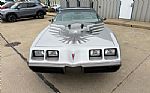 1979 Firebird Trans Am Thumbnail 6