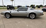 1979 Firebird Trans Am Thumbnail 23
