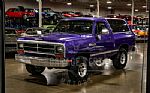 1989 Ramcharger Thumbnail 31