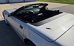 1996 Corvette Thumbnail 10