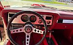 1978 Mustang Cobra Thumbnail 5