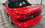 1995 Firebird Thumbnail 19