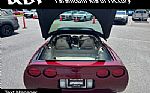 2003 Corvette Thumbnail 13