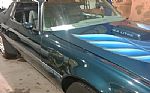 1979 Firebird Trans Am Thumbnail 7