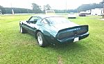 1979 Firebird Trans Am Thumbnail 17